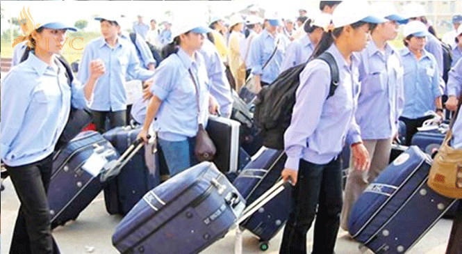 (Tiếng Việt) Nên đi xuất khẩu lao động nước nào?